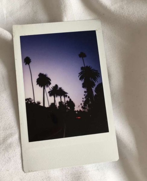 Снимок из полароида