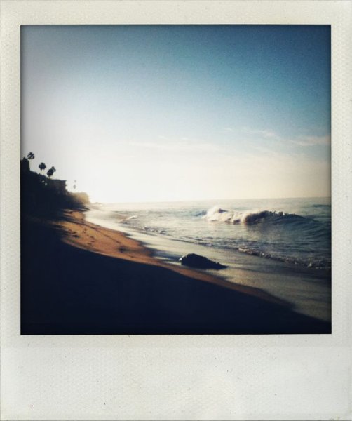 Волкер Эванс полароид