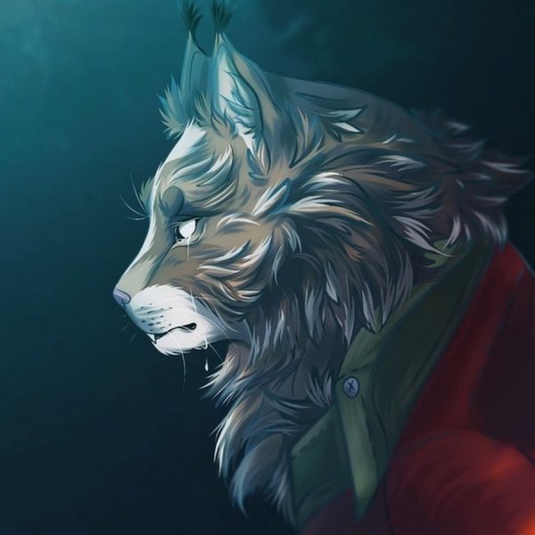 Вилд крафт Рысь арт