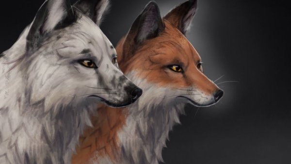 Лиса вилд крафт арт