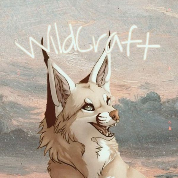 Вайлд крафт арты