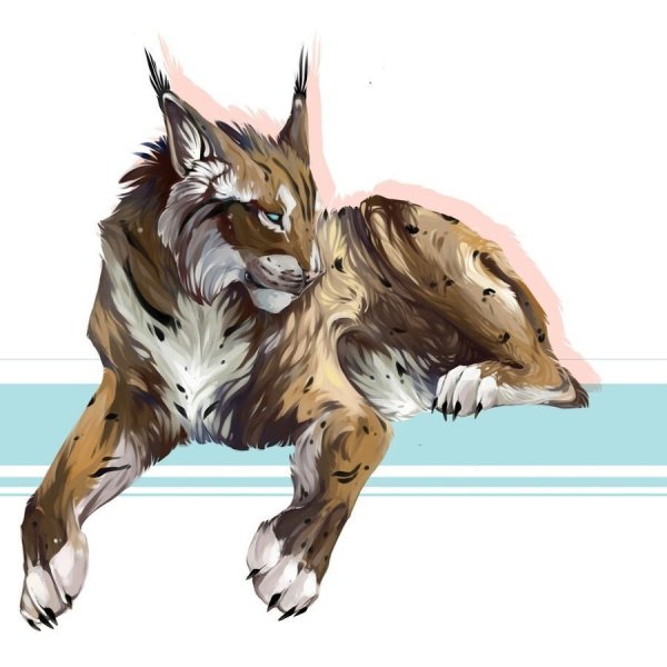 Фурсона Рысь