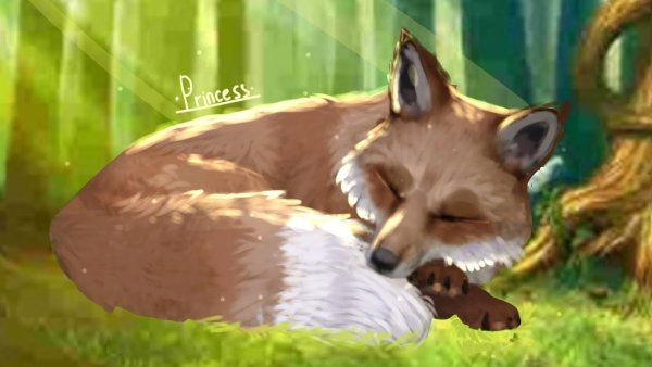 WILDCRAFT Лисичка