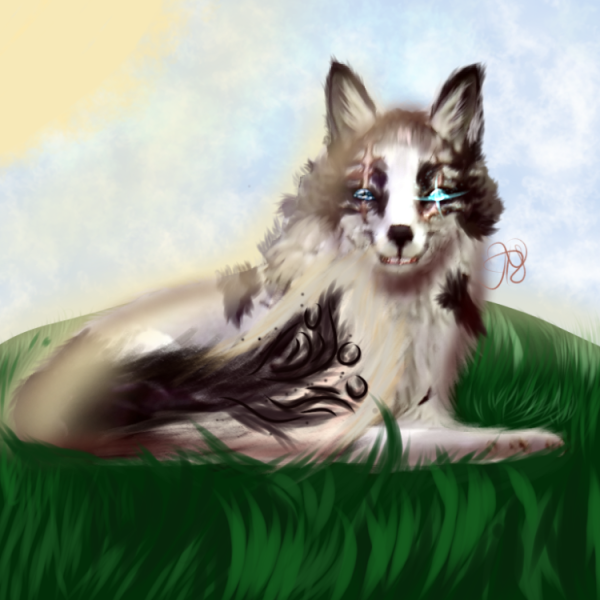 Вилд крафт арты волк