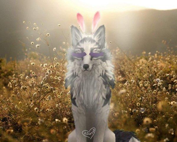 Вайлд крафт арт лиса