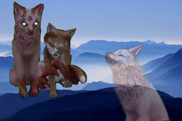 Мистик лиса в WILDCRAFT