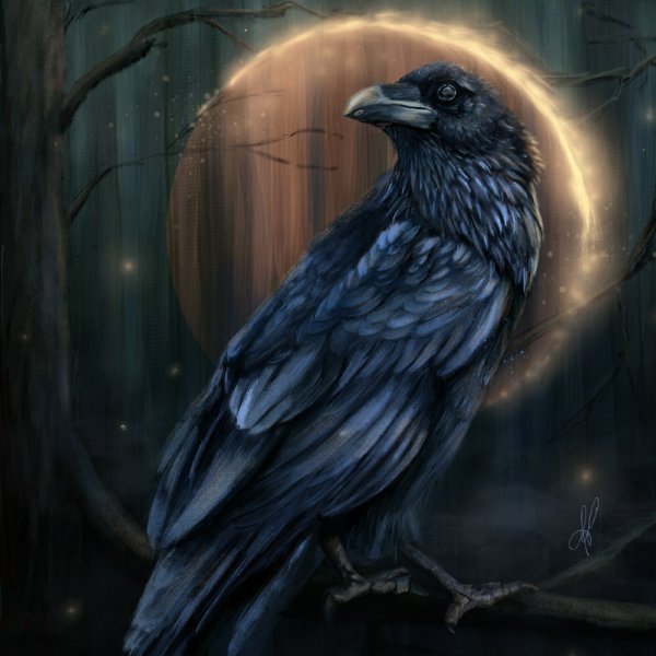 Ворона арт