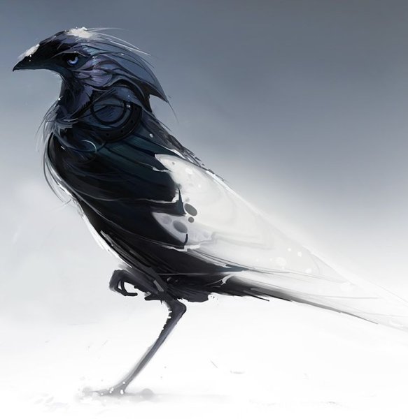 Белая ворона аниме