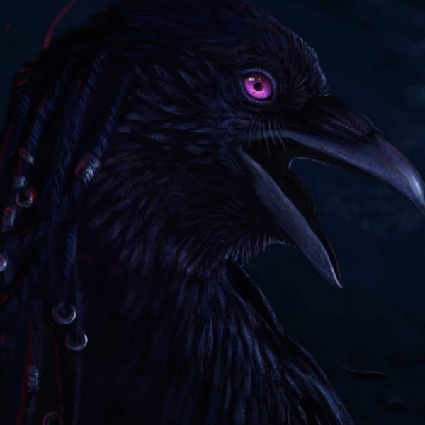 Злой ворон