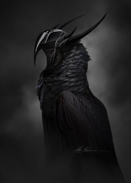Ворон арт