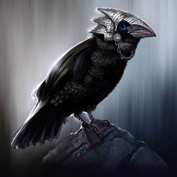 Фамильяр ворон