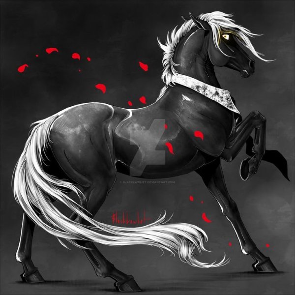 Красивые арты лошадей