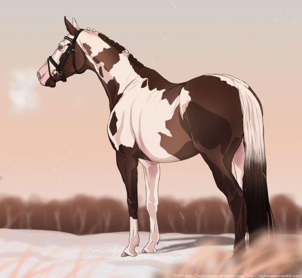 Пятнистая лошадь арт