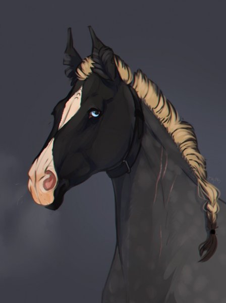 Спирит адопты лошади