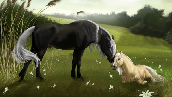 Красивая лошадь арт