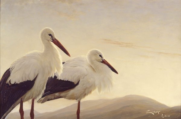 Живопись Аисты