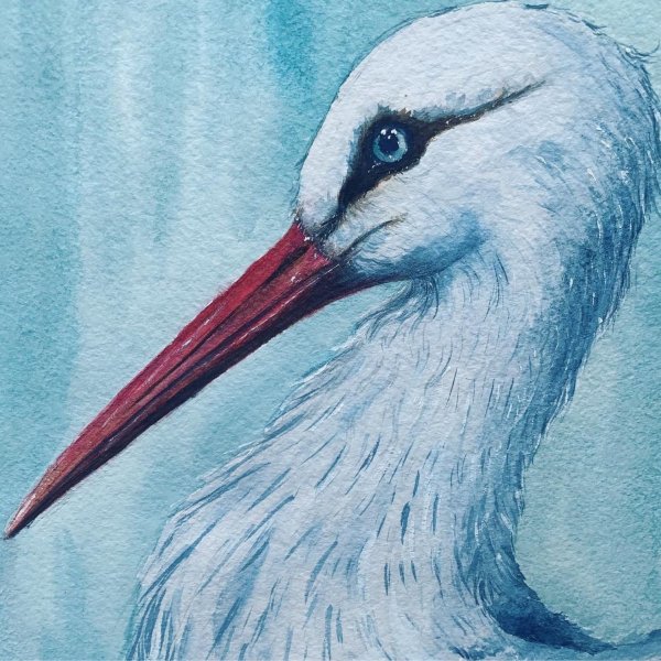 Аист акварель