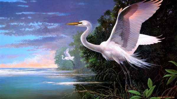 Живопись Аисты