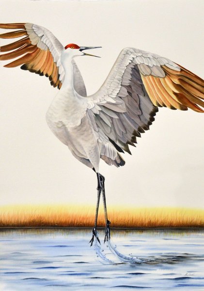 Журавль сбоку