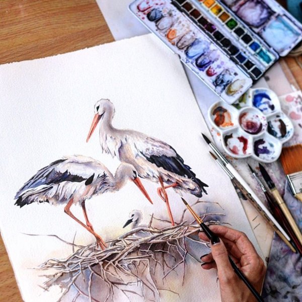 Скетчинг птицы