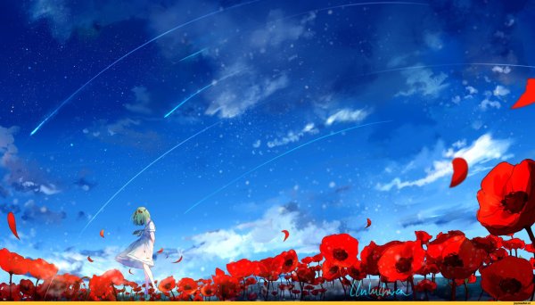 Поле маков голубое небо