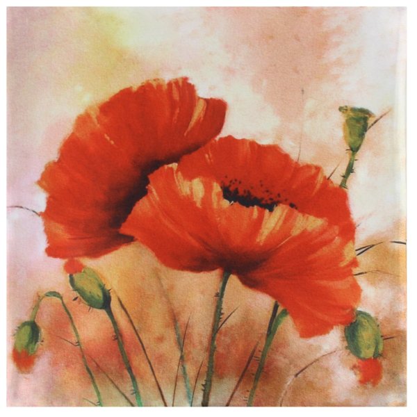 Картины с маками