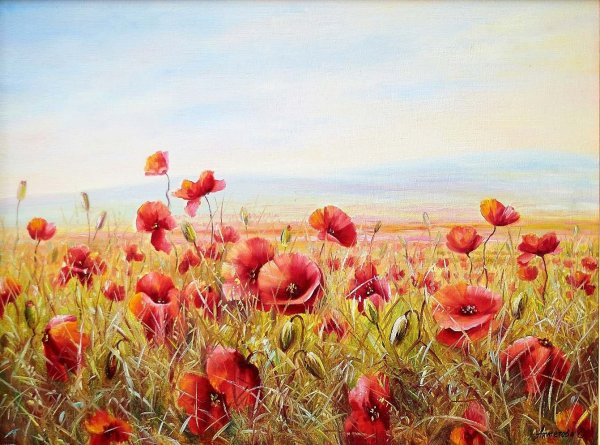 Маки в поле живопись