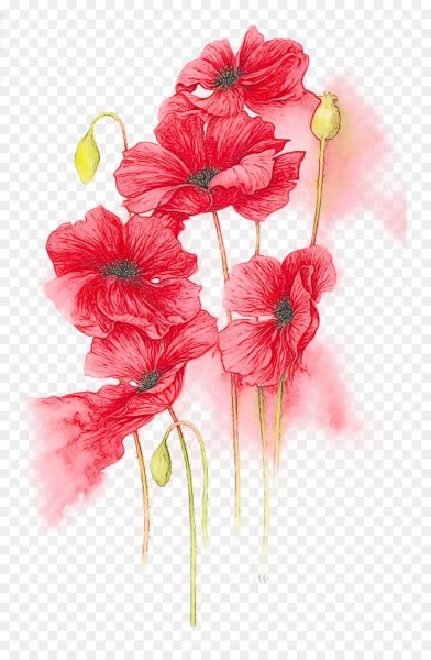 Jan Harbon акварели