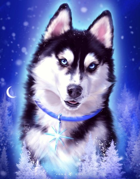 Красивые собаки хаски аниме