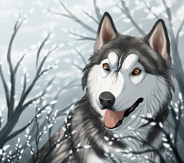 Feral furry хаски