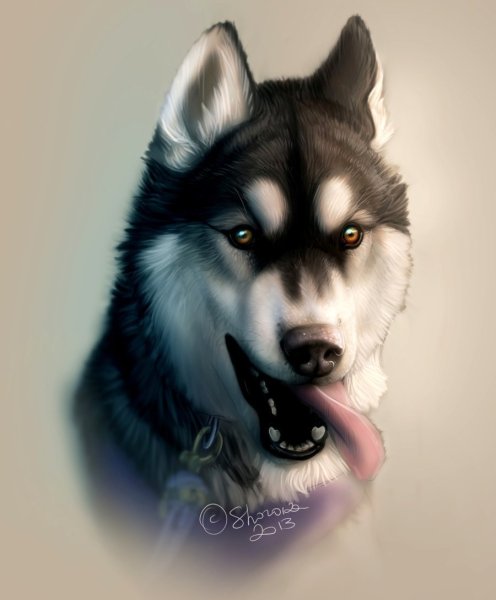 Арт хаски волк
