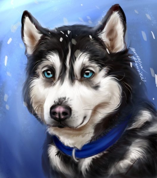 Хаски мультяшные