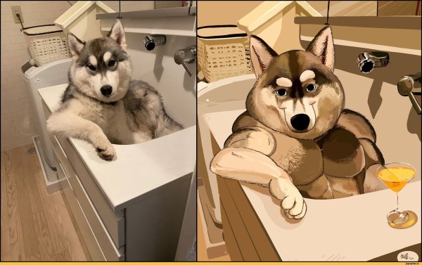 Толстая собака хаски арт