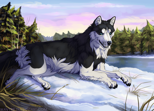 Аниме собаки