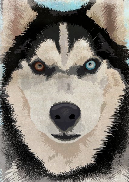 Сибирский хаски арт