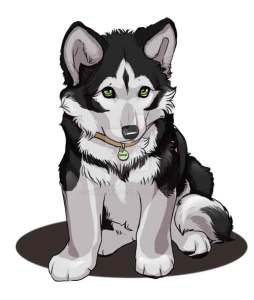 Аляскинский маламут фурри