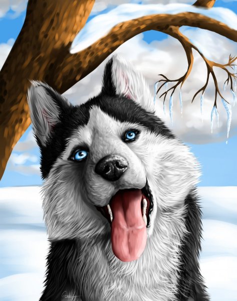 Хаски мультяшные