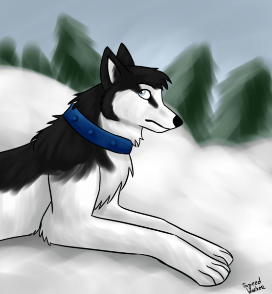 Аниме хаски красивая