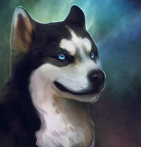 Feral furry хаски