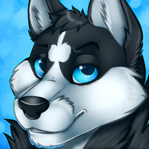 Фурии хаски