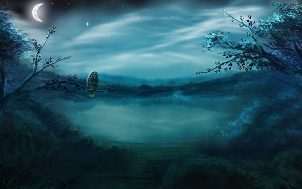 Лунное озеро коты Воители