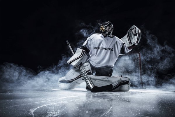 Вратарь хоккей арт