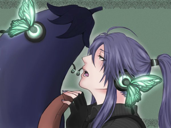 Вокалоиды Гакупо и баклажан