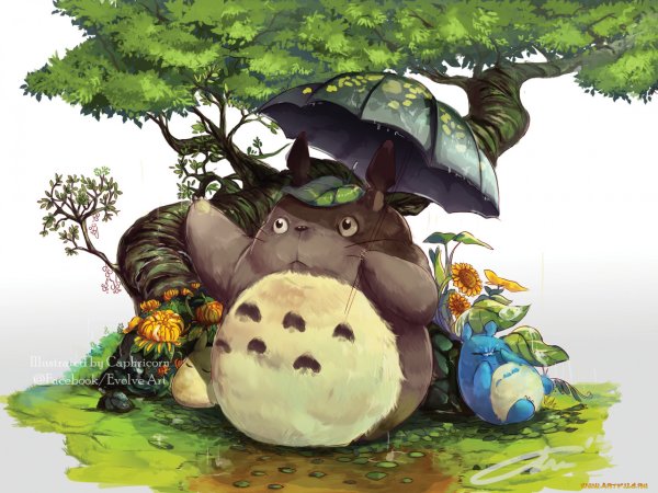 Хаяо Миядзаки Тоторо арт