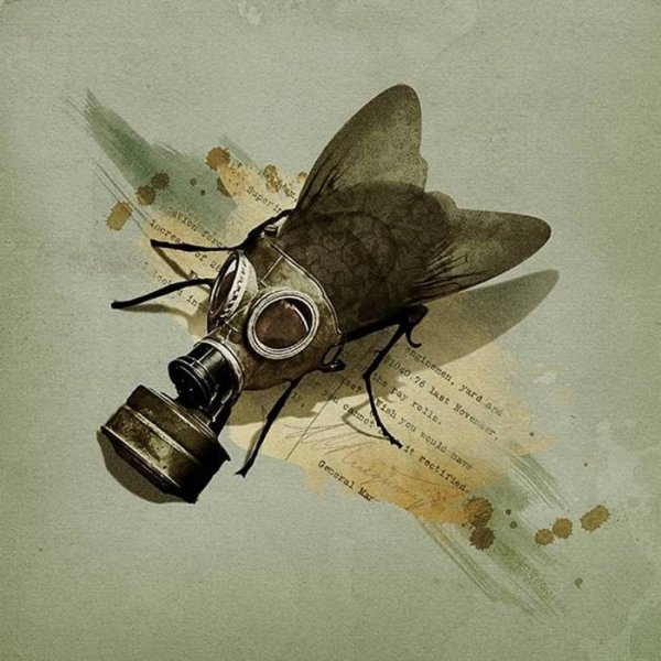 Муха в противогазе