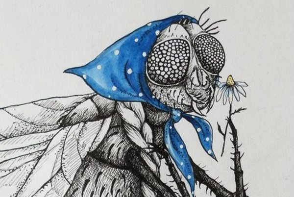 Сумасшедшая Муха