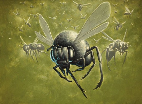 Выдуманные насекомые