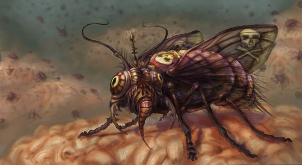 Вельзевул Муха