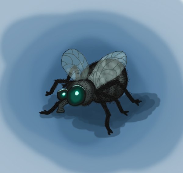 Роберт Муха 303