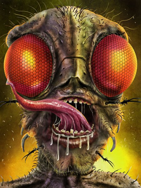 Насекомые арт